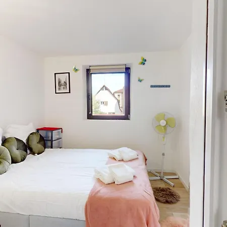 Le Charme Colmarien - Appartement 2 Pieces Au Coeur De La Ville Exterior foto