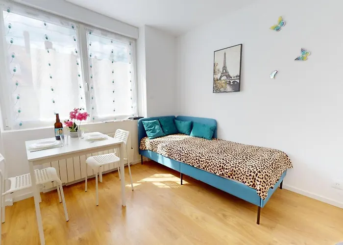 Le Charme Colmarien - Appartement 2 Pieces Au Coeur De La Ville