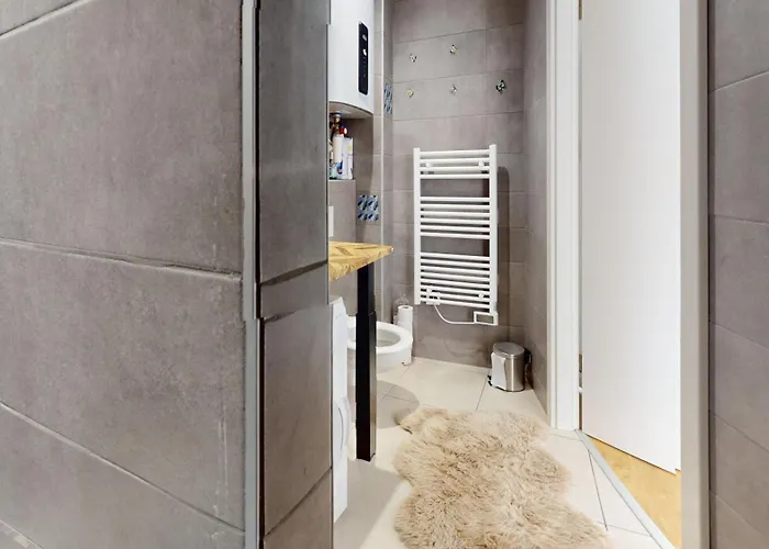Le Charme Colmarien - Appartement 2 Pieces Au Coeur De La Ville